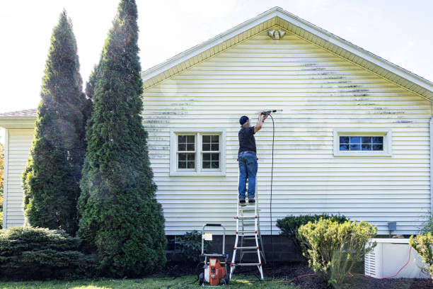 Trusted Youngstown, NY Pressure Washing Services Experts